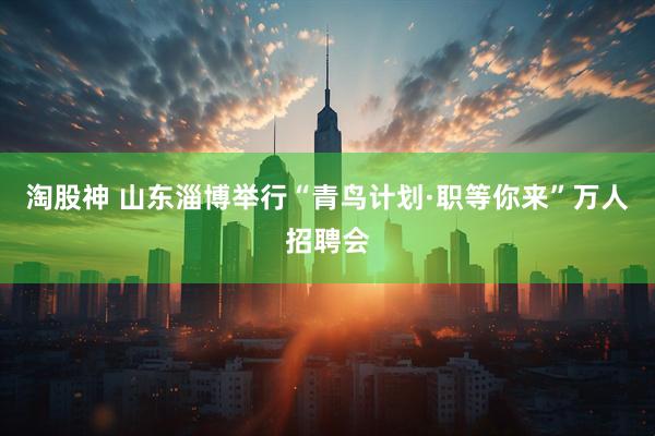 淘股神 山东淄博举行“青鸟计划·职等你来”万人招聘会