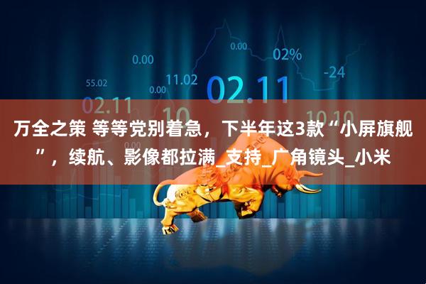 万全之策 等等党别着急，下半年这3款“小屏旗舰”，续航、影像都拉满_支持_广角镜头_小米