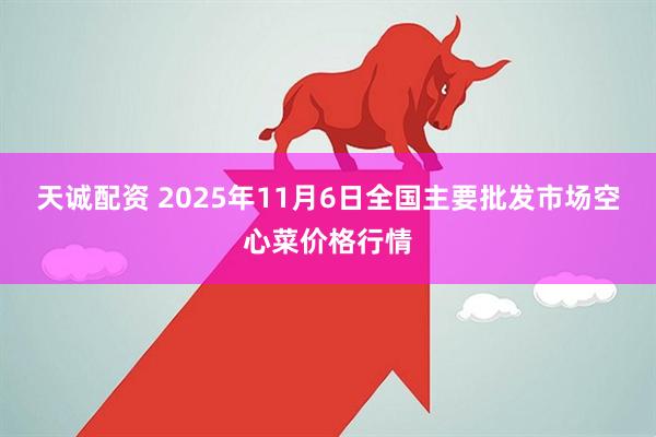天诚配资 2025年11月6日全国主要批发市场空心菜价格行情